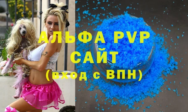мяу мяу мука Баксан