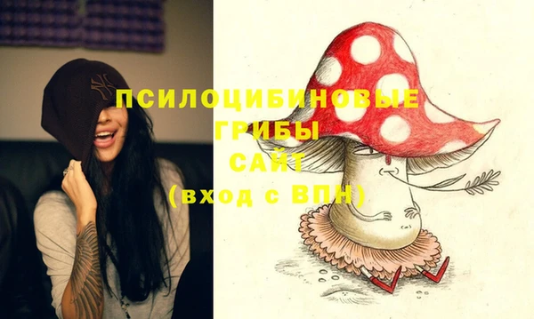 мяу мяу мука Баксан
