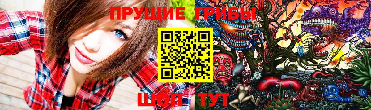 Псилоцибиновые грибы Psilocybine cubensis  Вход с VPN  Кировск  Псилоцибиновые грибы мицелий 